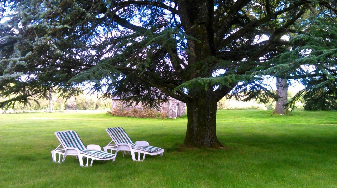 Manoir Tregont Mab Bed and Breakfast Quimper Eksteriør billede
